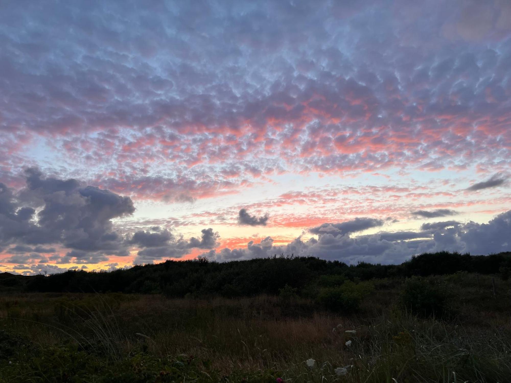 B&B In De Duinen De Koog  Bagian luar foto
